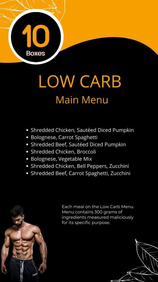 Low Carb (10 Fit Meal Plan)